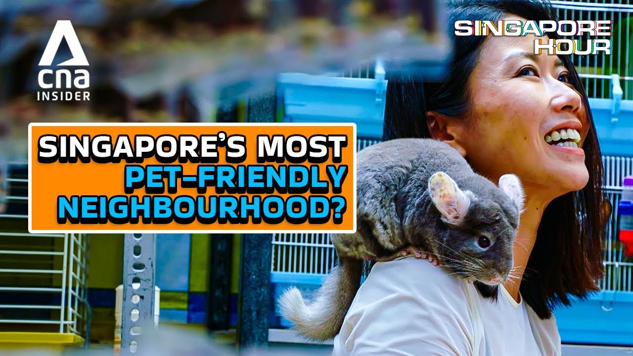 4 Hidden Gems You'll Find In Serangoon | Singapore Hour