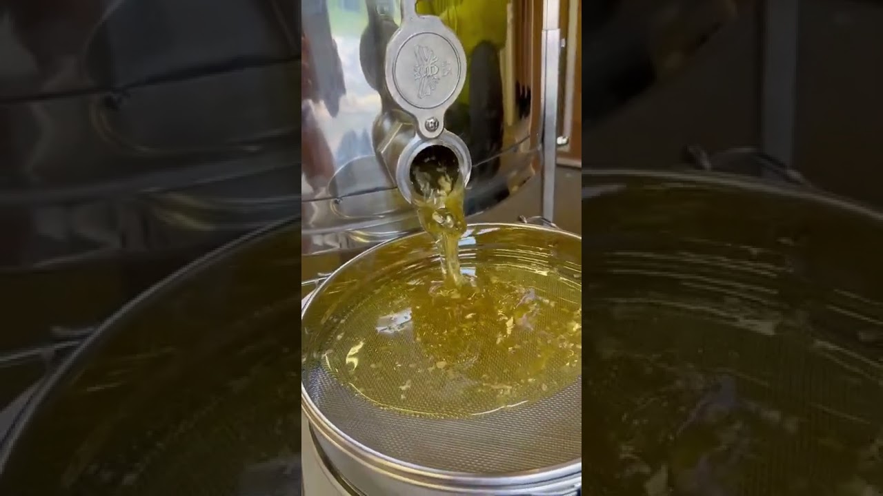 Honey extractor filtering