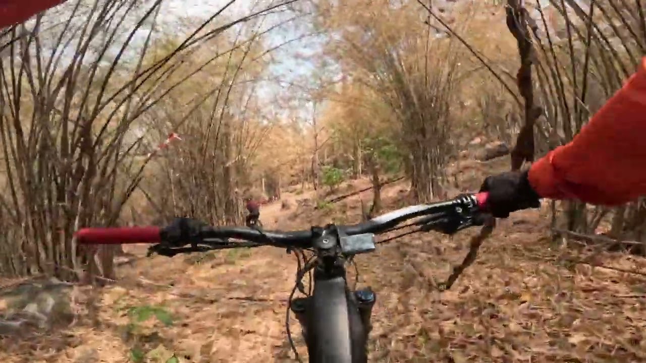 เขาสูงแจ่มฟ้า (KSJ) ลายดงหิน (Rock garden) แถมลายหรรษาปิดท้าย : bikeday