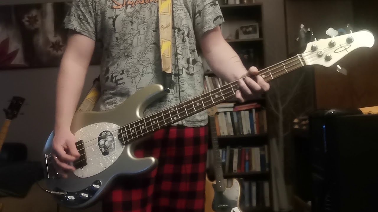 Blink 182 - Adam's Song Bass Cover