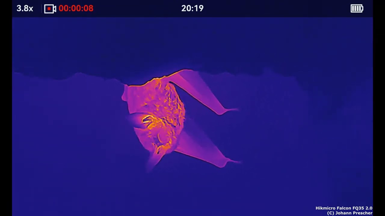 Hikmicro Falcon FQ35 2.0 compilation
