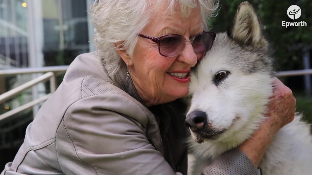 Aurora - Therapy Dog of Epworth