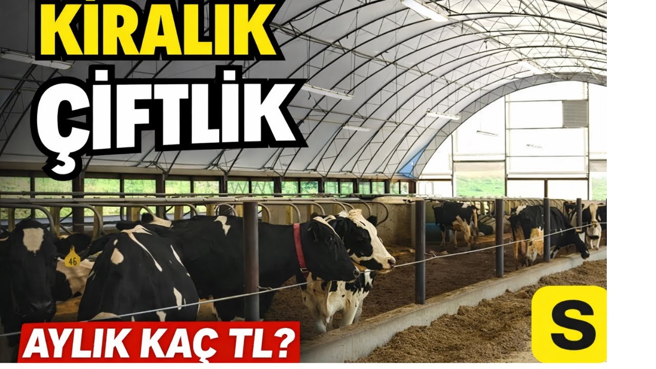 ŞEHİRDE KÖYE GÖÇ EDENLER BUNU İZLESİN/KİRALIK ÇİFLİK  İNCELEMESİ