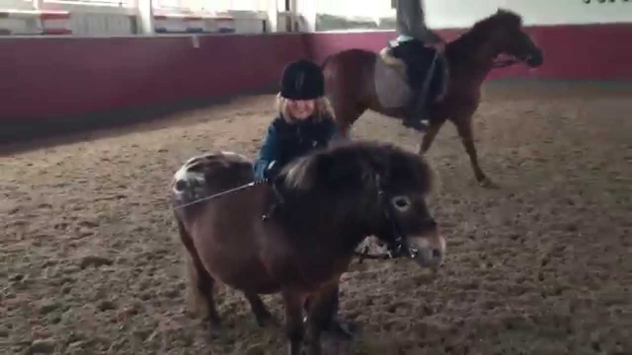 Leuk hoor rijden zonder zadel op Kaaj, of beter, vallen van Kaaj zonder zadel
