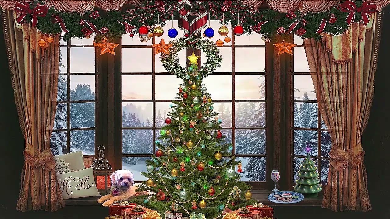Dog Enjoying a Festive Christmas Tree in the Window View ASMR Ambience