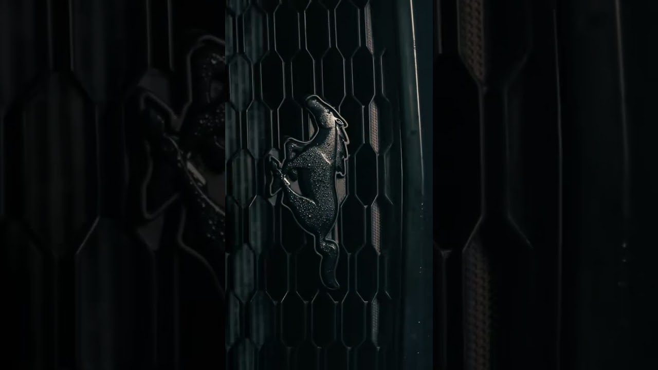 Music: Bleyz - Загадка (Video author TT page -- @k_bugaj)      