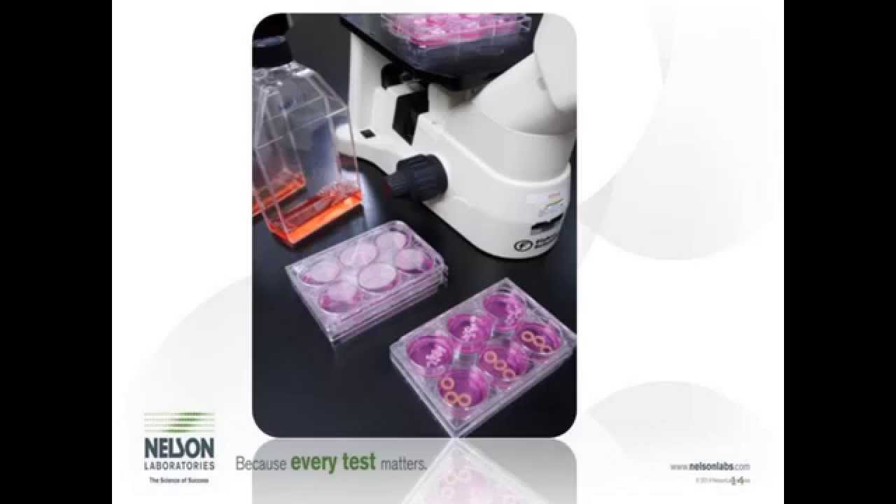 Biocompatibility Testing: Rethinking The 