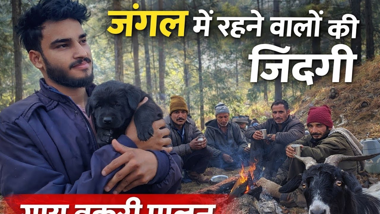  Sheep and Goat Farmer in Uttrakhand