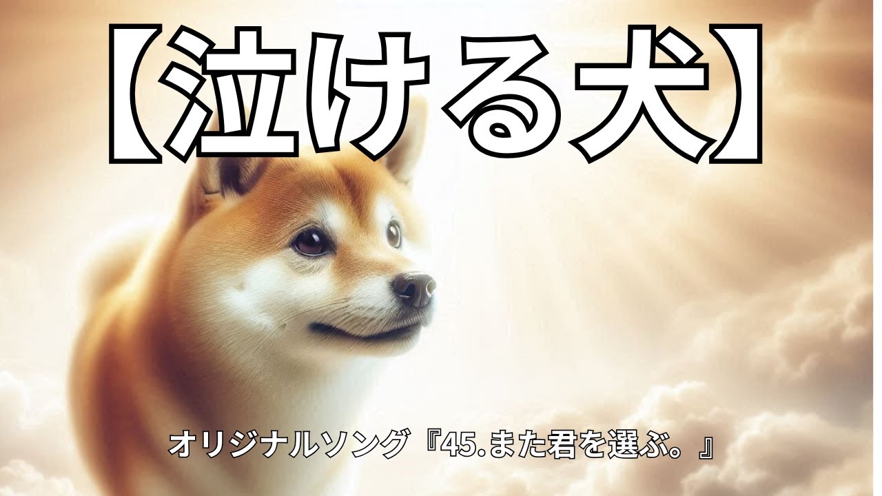 【泣ける犬】『45.また君を選ぶ。』【Music Video】