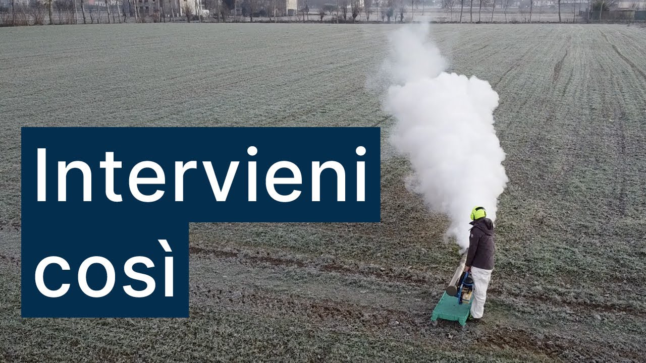 Prova pratica di come intervenire contro i danni da gelo