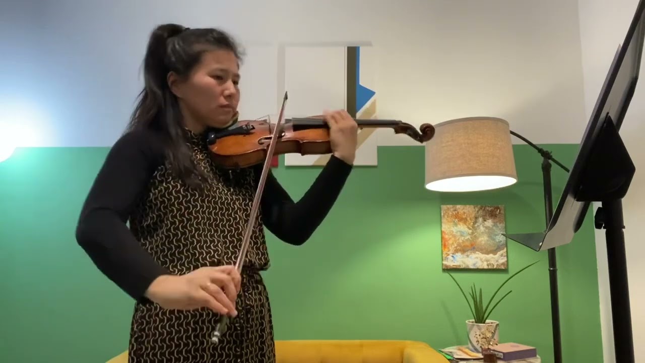Violin Excerpt 3. J. Brahms Symphony no.4 in e minor 4th movement m.33-80