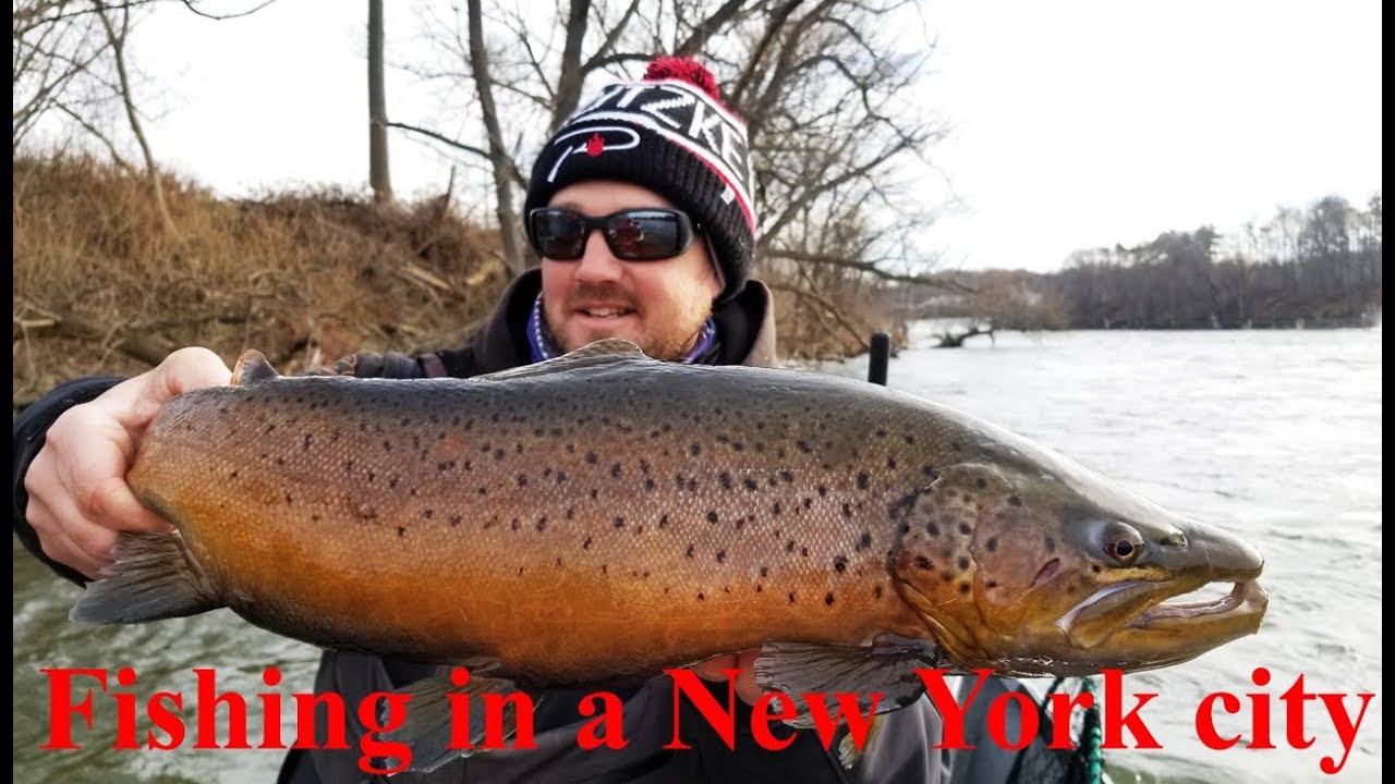 Epic Trout Fishing in a New York City