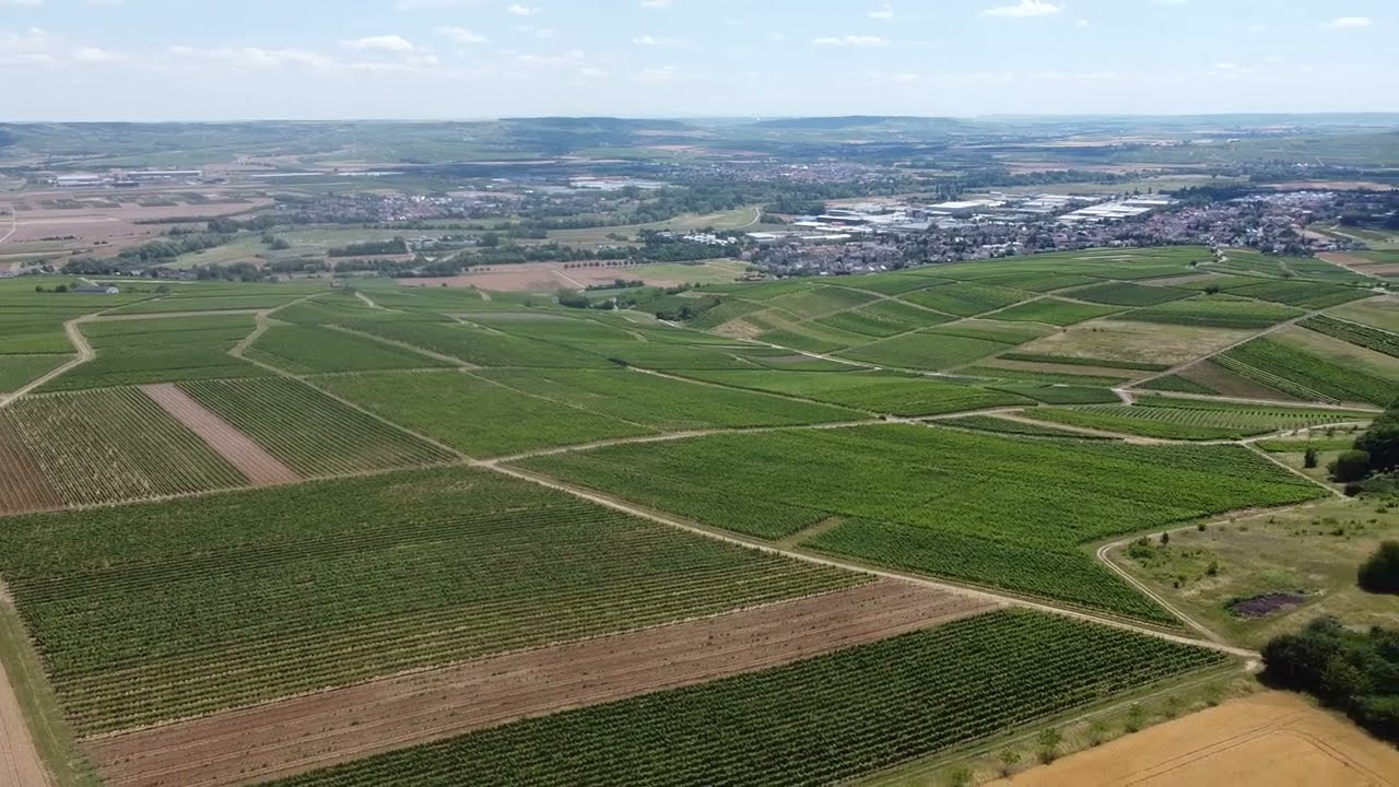 Drohnenflug bei Langenlonsheim