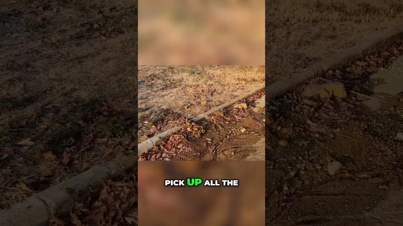 Transforming a Messy Farm: Watch the Cleanup Action