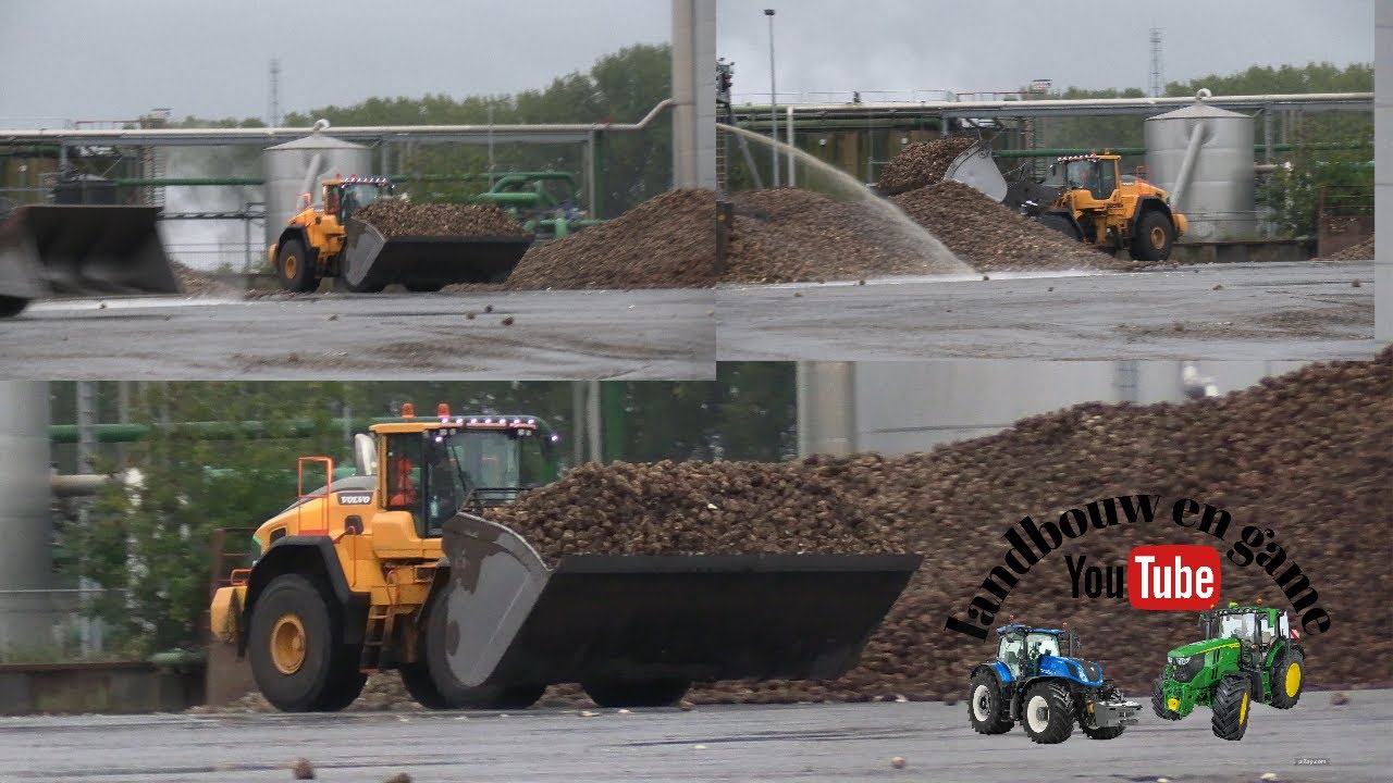 bietenfabriek Hoogkerk / Cosun Beet Company / Mechielsen Oldehove BV  Volvo L220H /  L90H