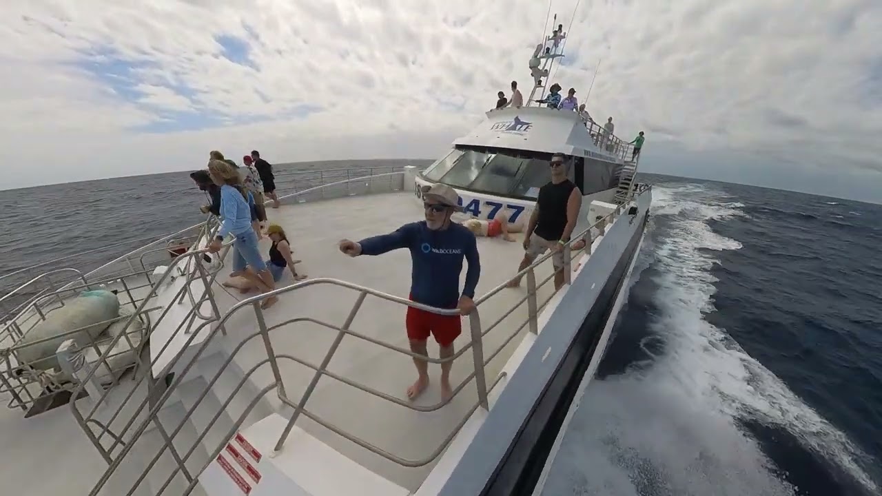 top deck