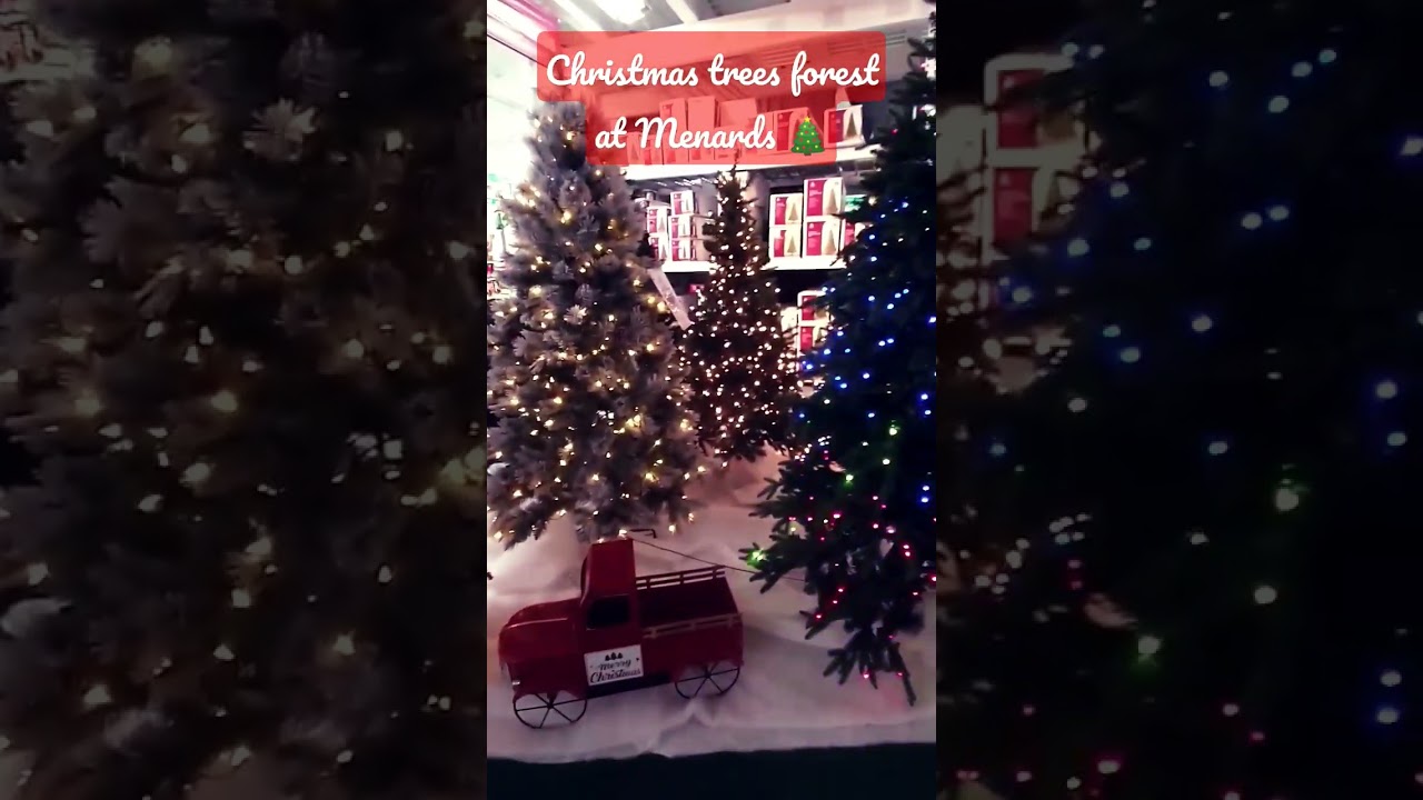 Christmas tree forest at Menards 🎄