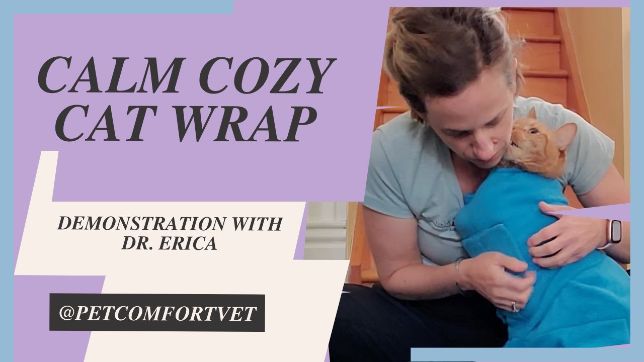 Calm Cozy Cat Wrap Demonstration for Low-Stress End-of-Life Care | Mobile Hospice Veterinarian