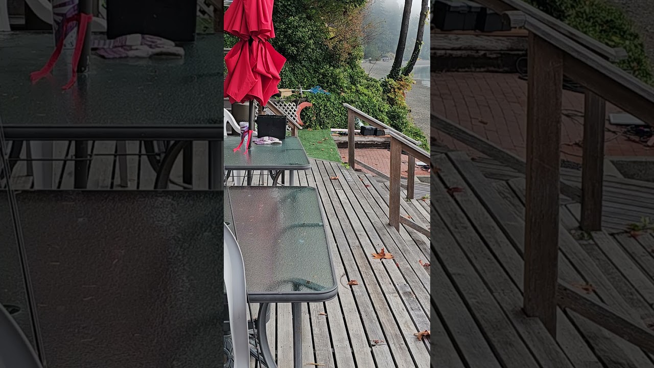 Otter Deck