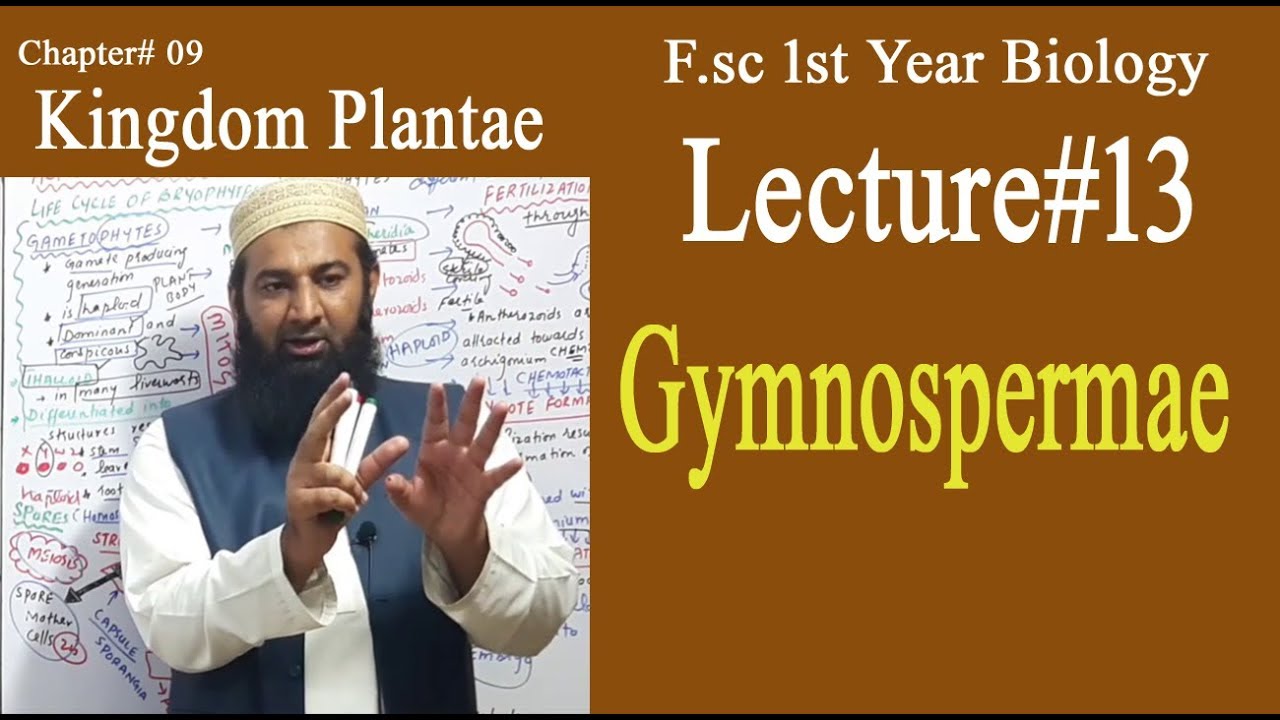 Biology Ch#09-Lecture#13 Gymnospermae  (F.Sc 1st Year)