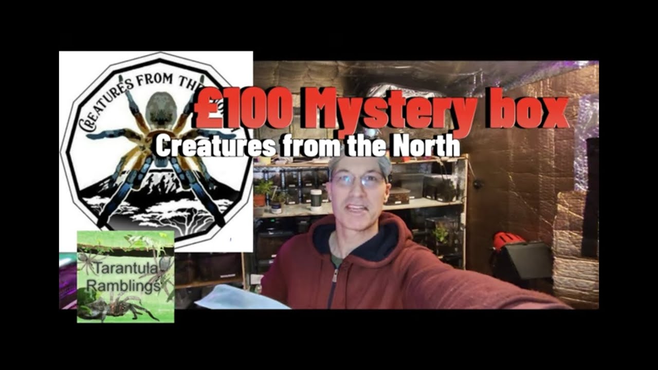 Unboxing £100 mystery box from Creatures from the north