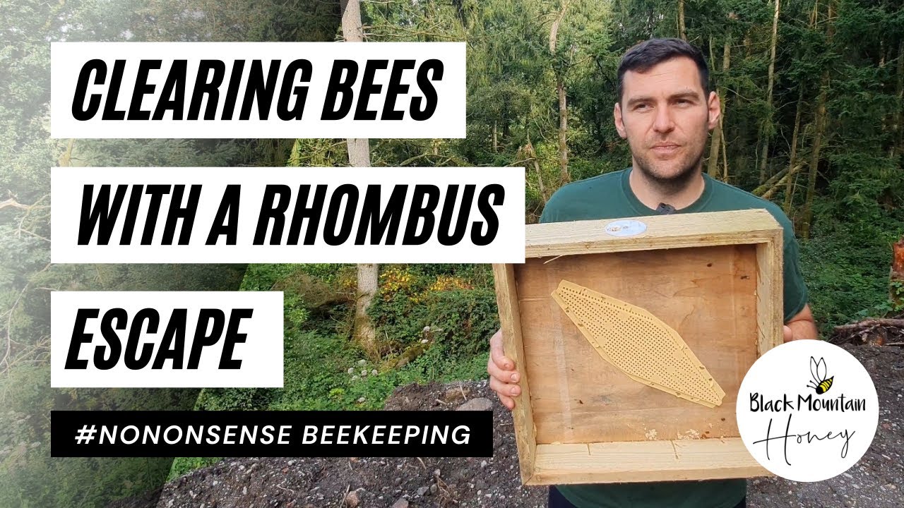 Clearing Bees With A Rhombus Escape - Fast Way To Empty Honey Supers