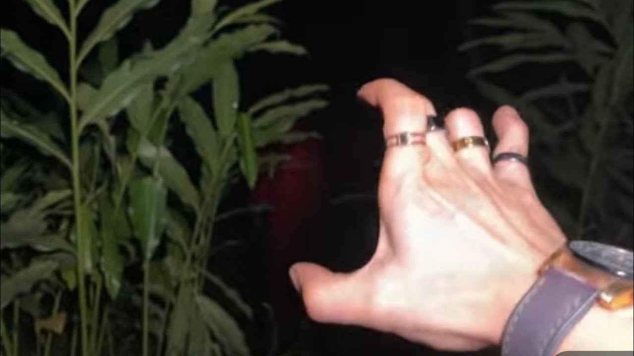 Live misteri ‼️MENCARI KEBERADAAN CENG WARJA