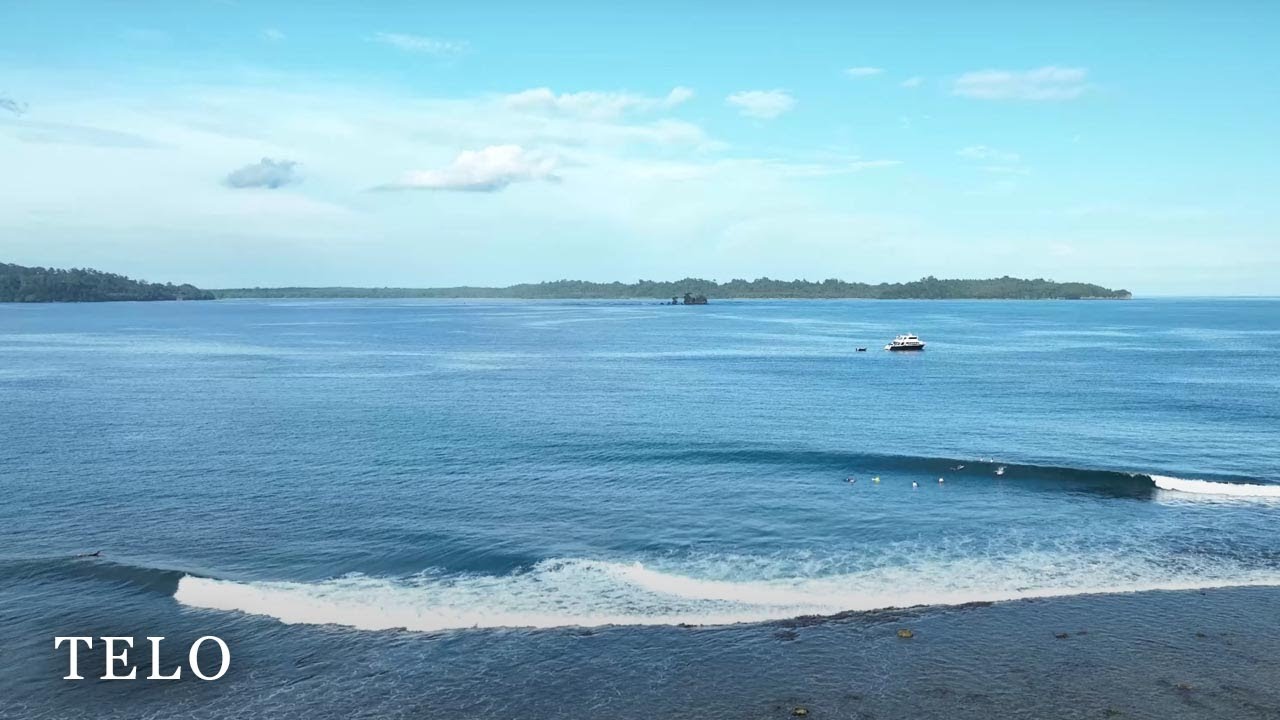 Surfing Telo | The Right