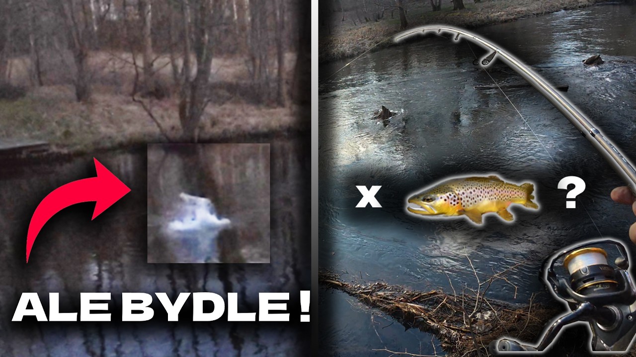 Co to był za Weekend na pstrągach Masa RYB! i co to za  Bydle w rzece ? Niesamowite akcje na rybach!