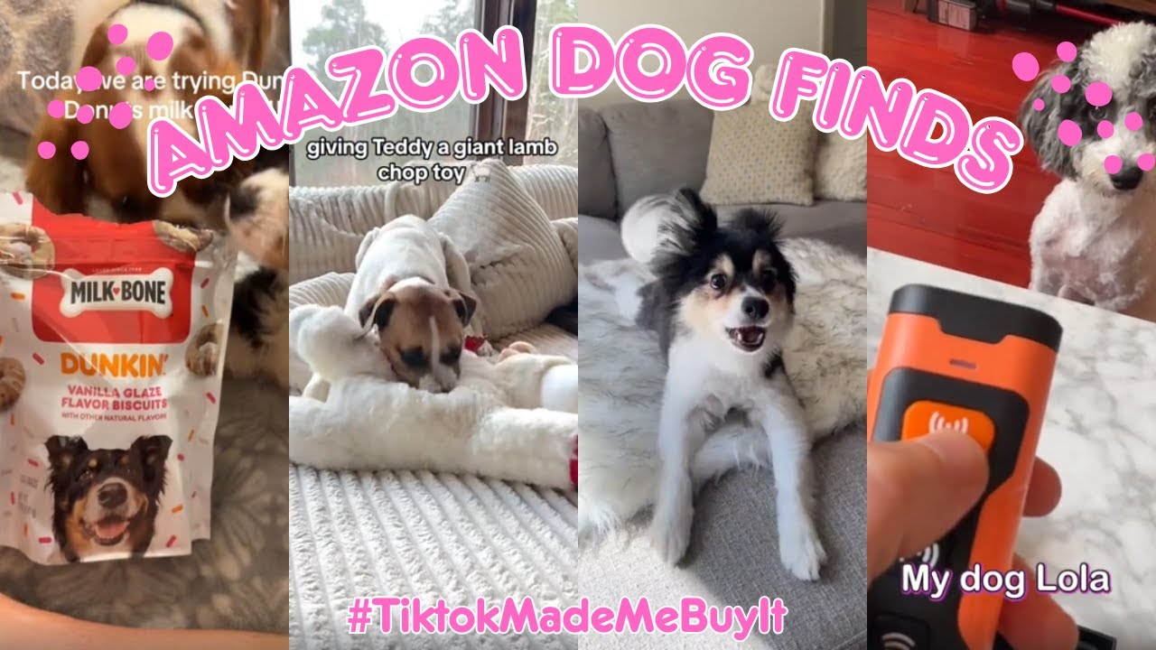 25 Amazon Dog Products Must-Haves You Need! | TikTok&rsquo;s Best Finds #3