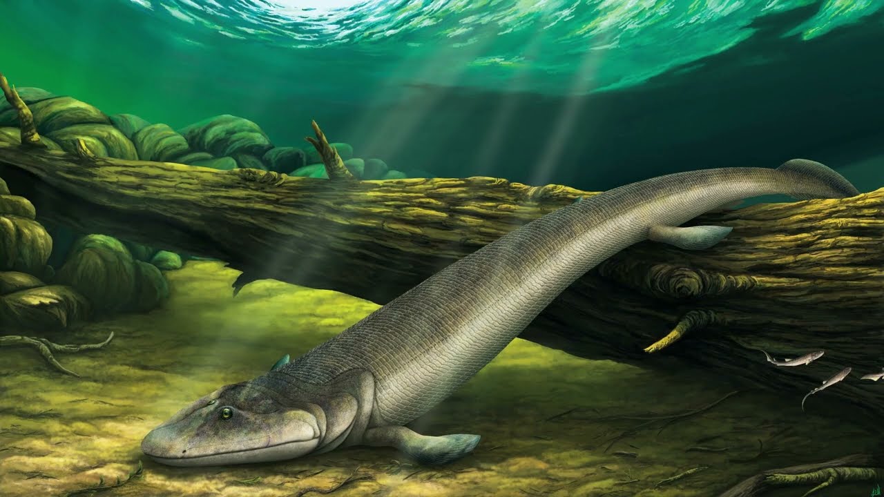 Tiktaalik tribute