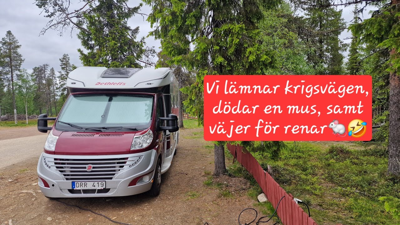 Färden går vidare från krigsväg och norröver. Musen dör🐁🤣🐈‍⬛