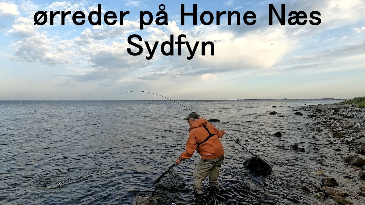 Ørreder på Horne Næs, Sydfyn