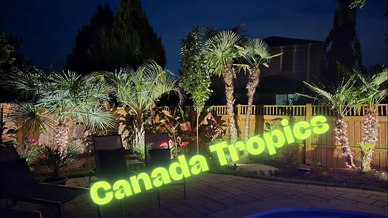 Growing Tropical Plants in Ontario — Niagara Tropics Update PT. 2