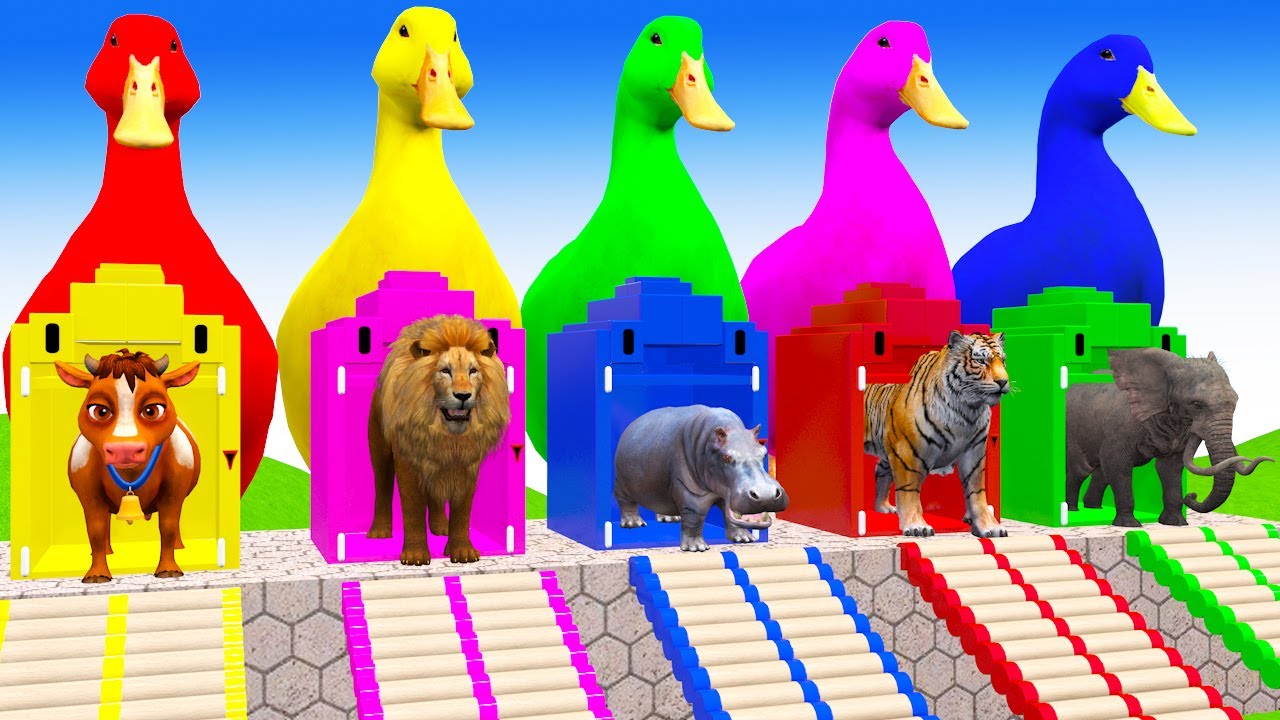 Long Slide With Cow Elephant Gorilla Hippopotamus 3d Animal Game Funny 3d Animals