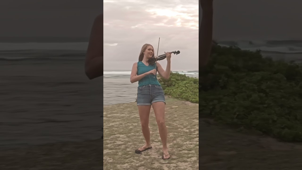 Zara Larsson - Can't Tame Her - VIOLIN