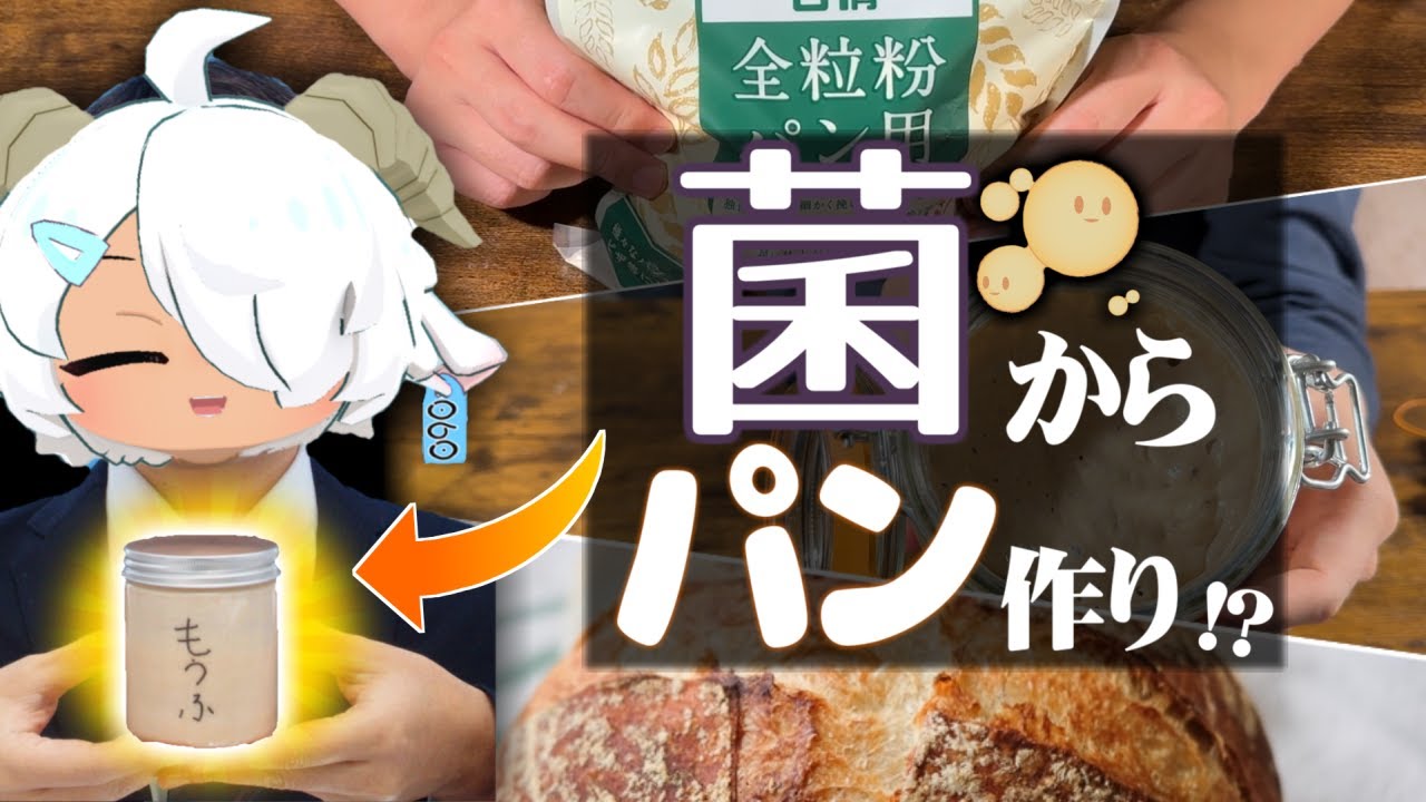 愛でて良し、食べても良しの最強ペット “菌”