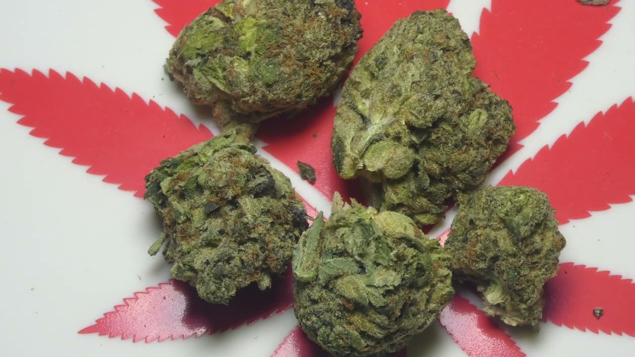 Pinkman Goo fr MMJ Express (Smoke)