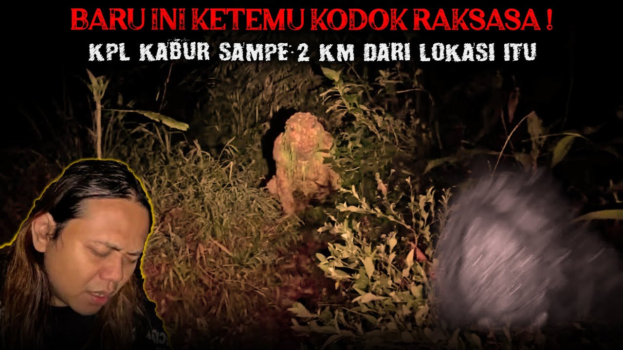 KETEMU KODOK RAKSASA KPL KABUR ! SAMPE C3L4N4 K3D0D0R4N!!!