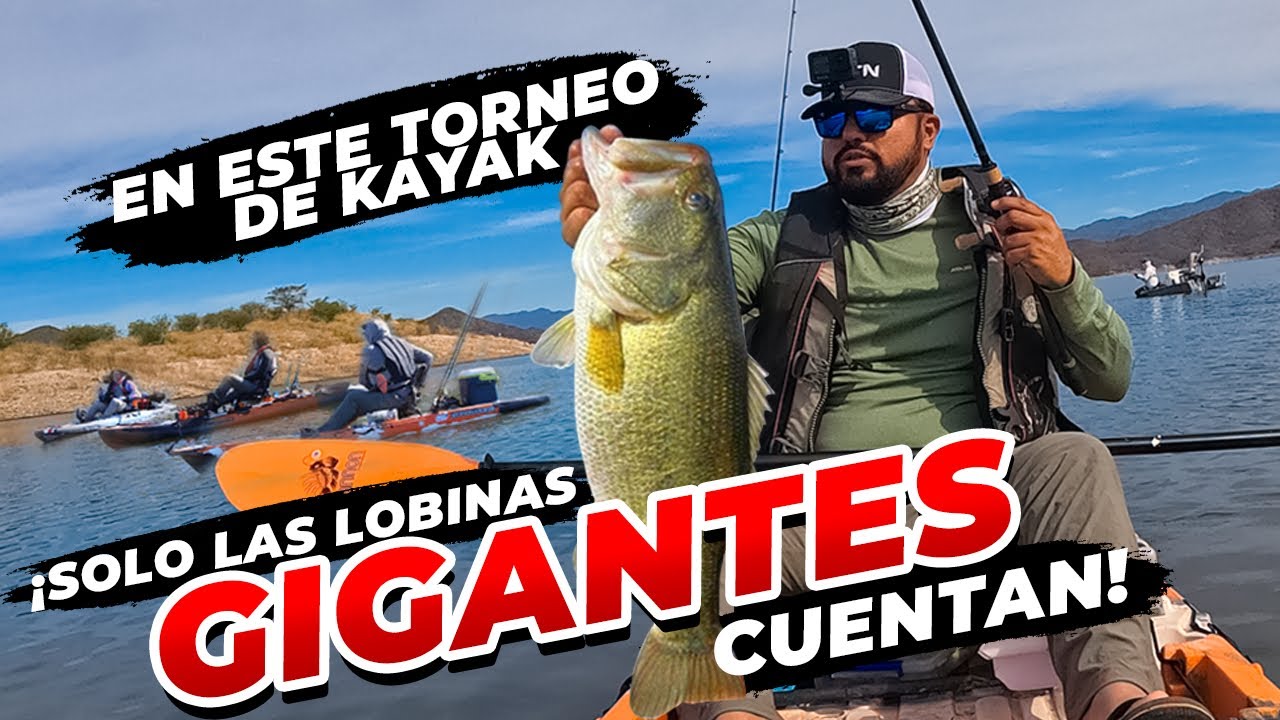 En este Torneo de KAYAK solo las lobinas GIGANTES cuentan