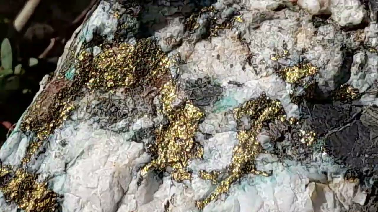 Pyrite or gold? #quartz. #gold