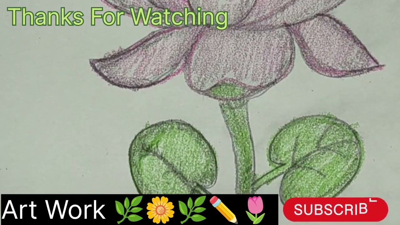 Easy Way To Draw Realistic Lotus Flower #Lotus Flower Drawing #Art Work #creativity #Shadowing
