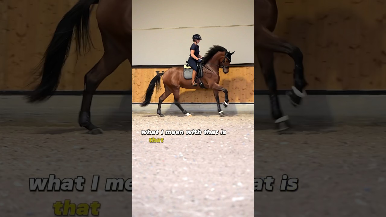 Canterwork with a 4 year old Horse