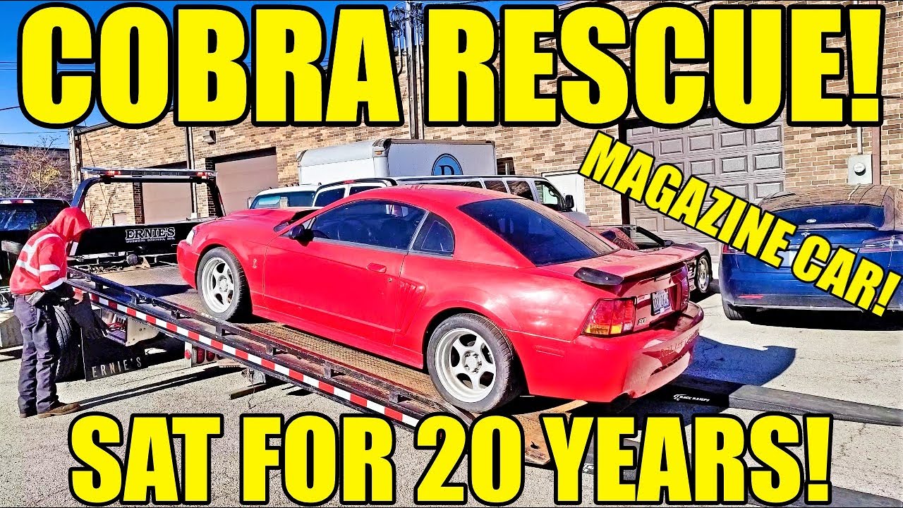 I Bought An Abandoned 17k Mile SVT Cobra With 850 HP! Sat For 20 Years! Mystery Mustang!