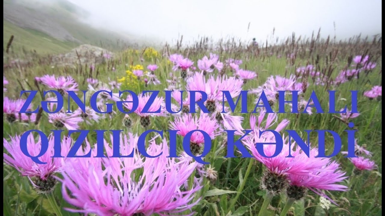 Zəngəzur mahalı, Qızılcıq kəndi