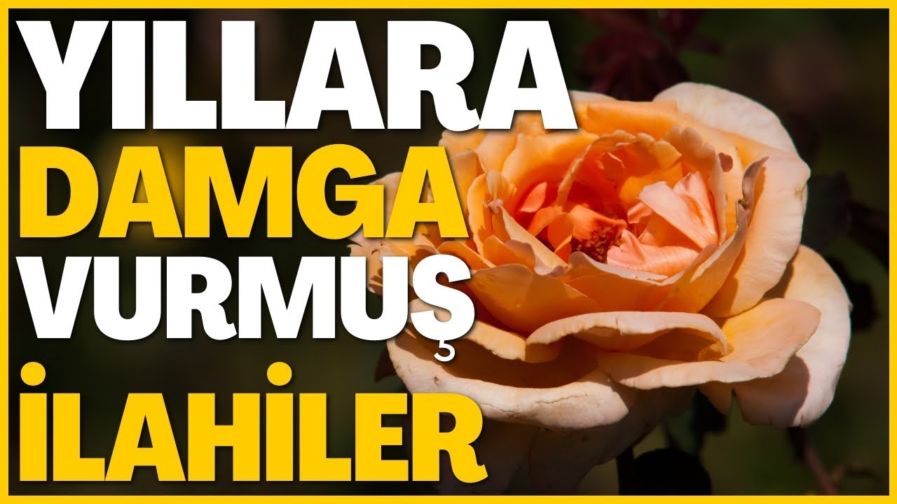 YILLARA DAMGA VURMUŞ İLAHİLER | EY ÂŞIK-I DİLDADE GEL NUŞ İDELİM BADE