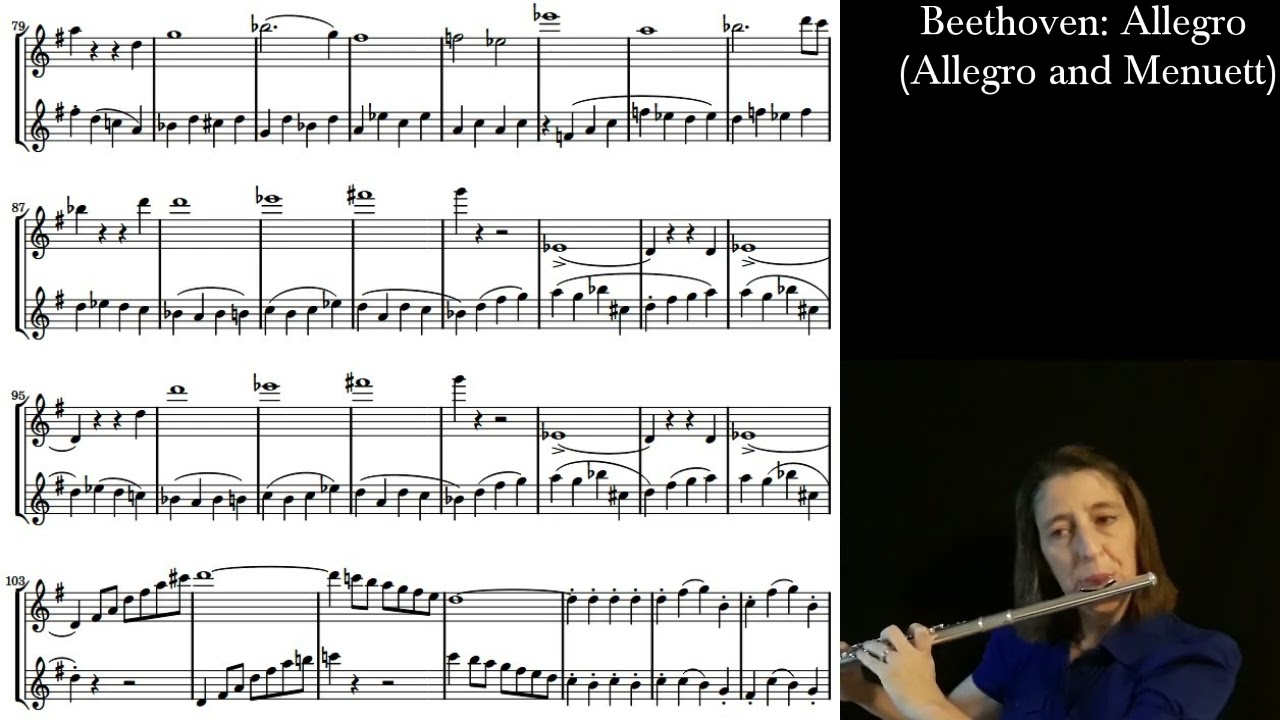Beethoven: Allegro (Play Along) in G Part 1