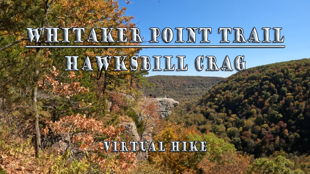 Whitaker Point Trail | Hawksbill Crag | 4K | Virtual Hike with music