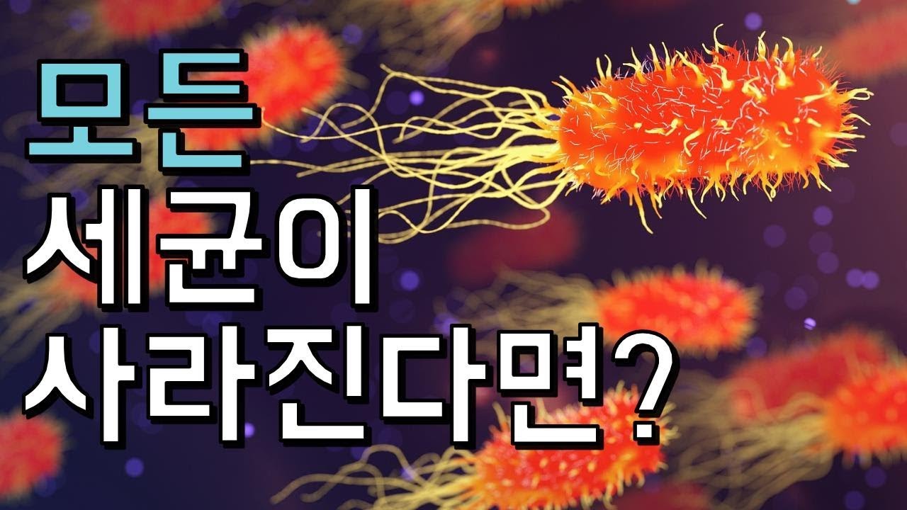 지구에서 모든 세균이 사라지면 벌어지는 일