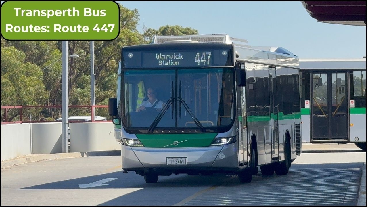 Transperth Bus Routes: Route 447